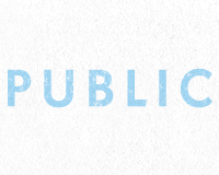 Public Bikes